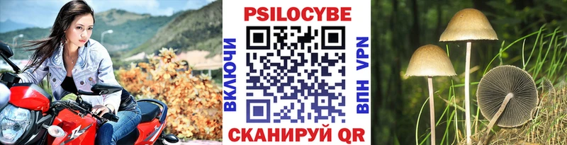 Псилоцибиновые грибы Magic Shrooms Чита